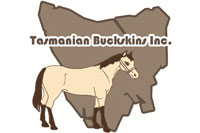 Tasmanian Buckskins Inc.